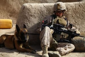 Marine and Dog